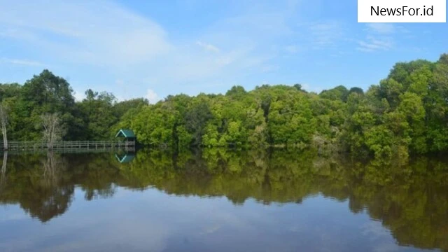 Tempat Wisata yang Asri dan Alami di Palangkaraya Kalteng